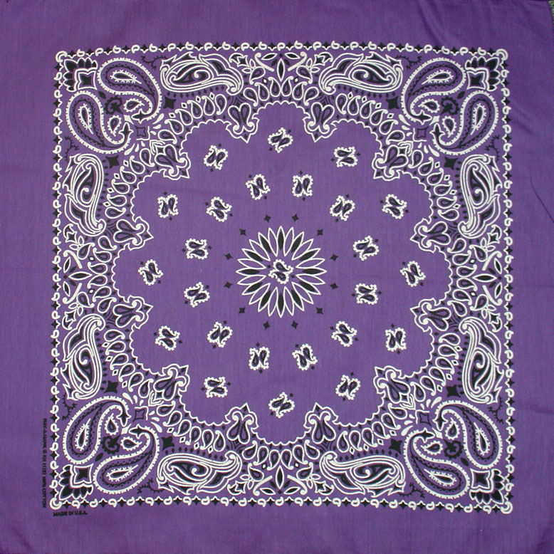 (image for) Bandanna Purple Paisley 22" x 22"